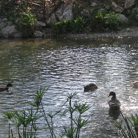 Kumluca Adrasan River Hotel מראה חיצוני תמונה