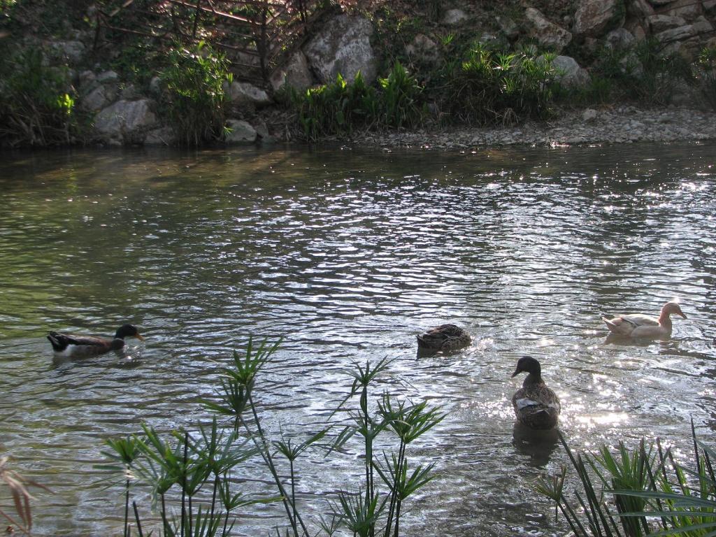 Kumluca Adrasan River Hotel מראה חיצוני תמונה